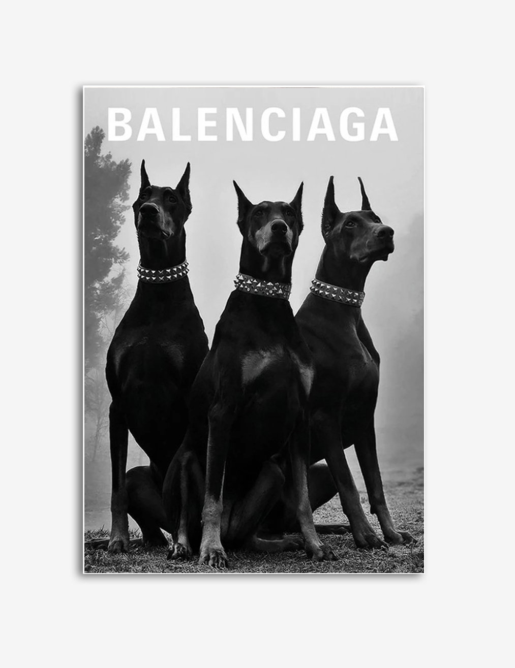 Balenciaga Hunde Poster