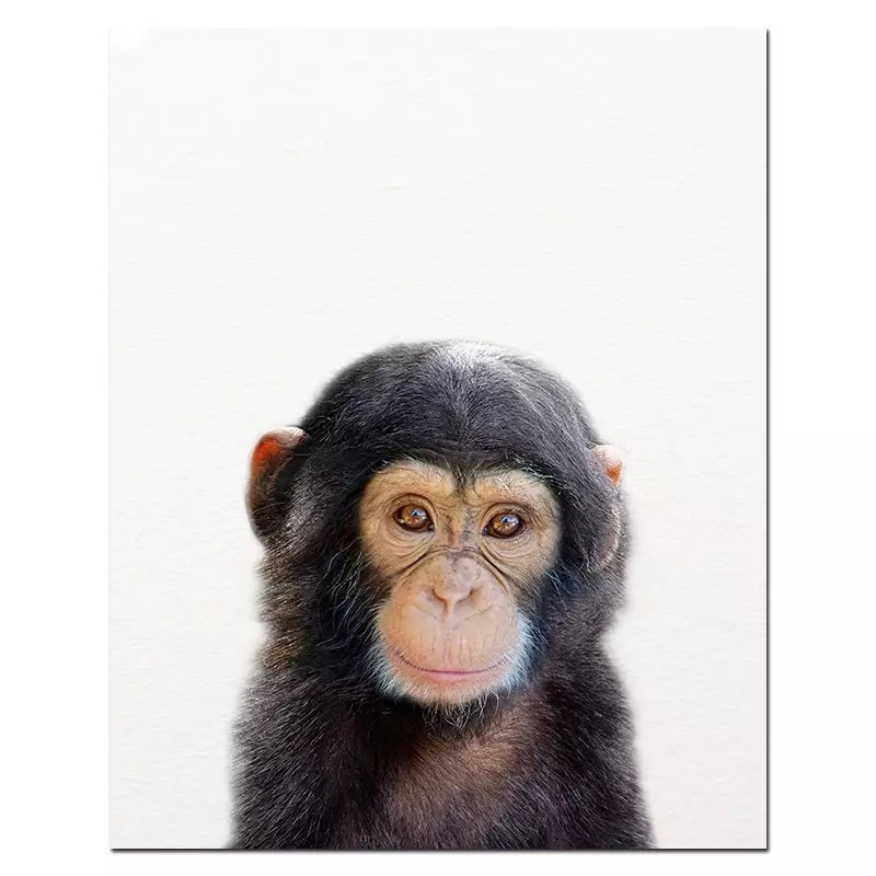 Poster - Affe