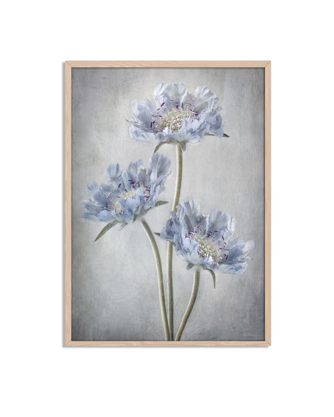 Blaue Blumen Poster