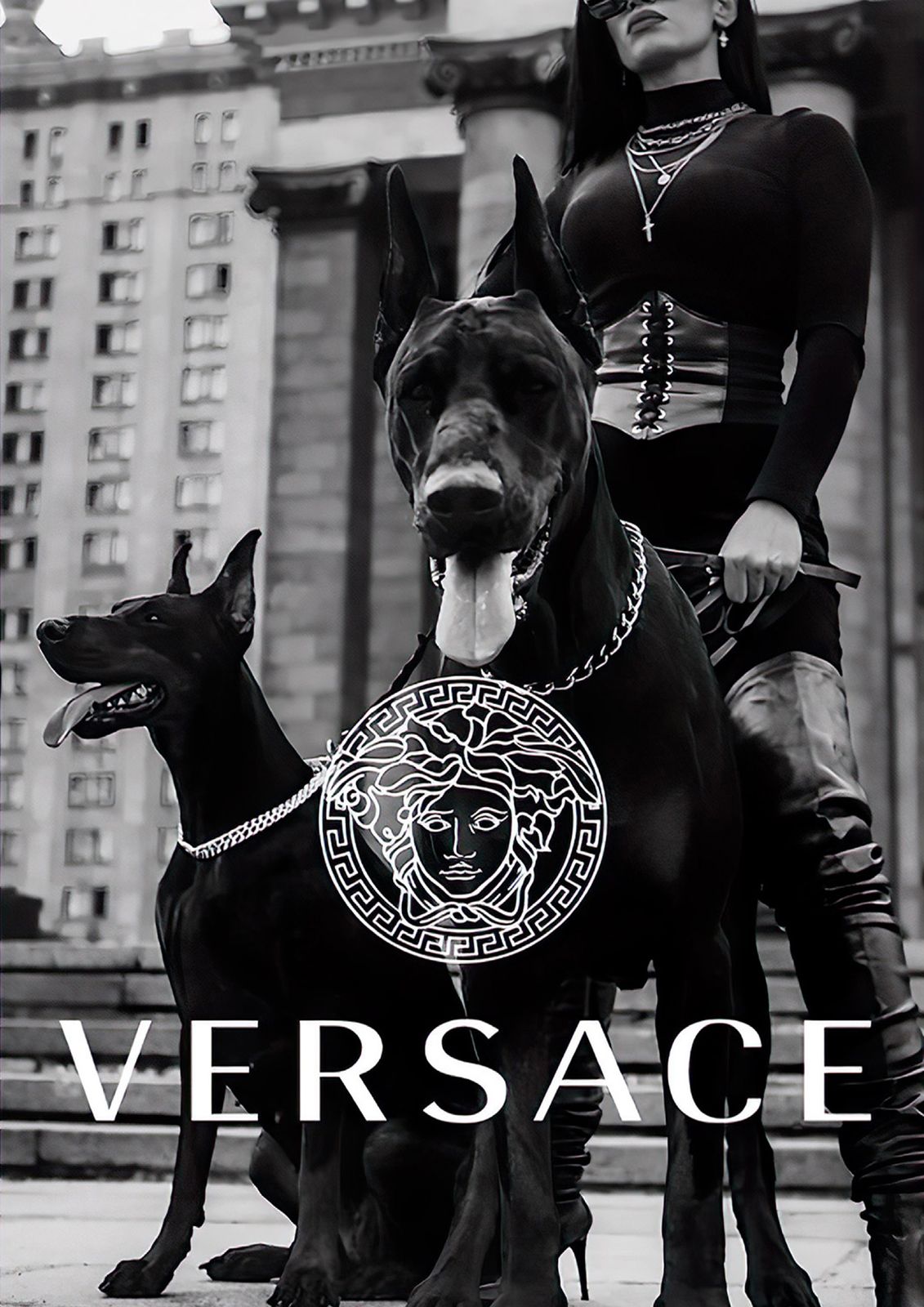 Versace Hunde Poster