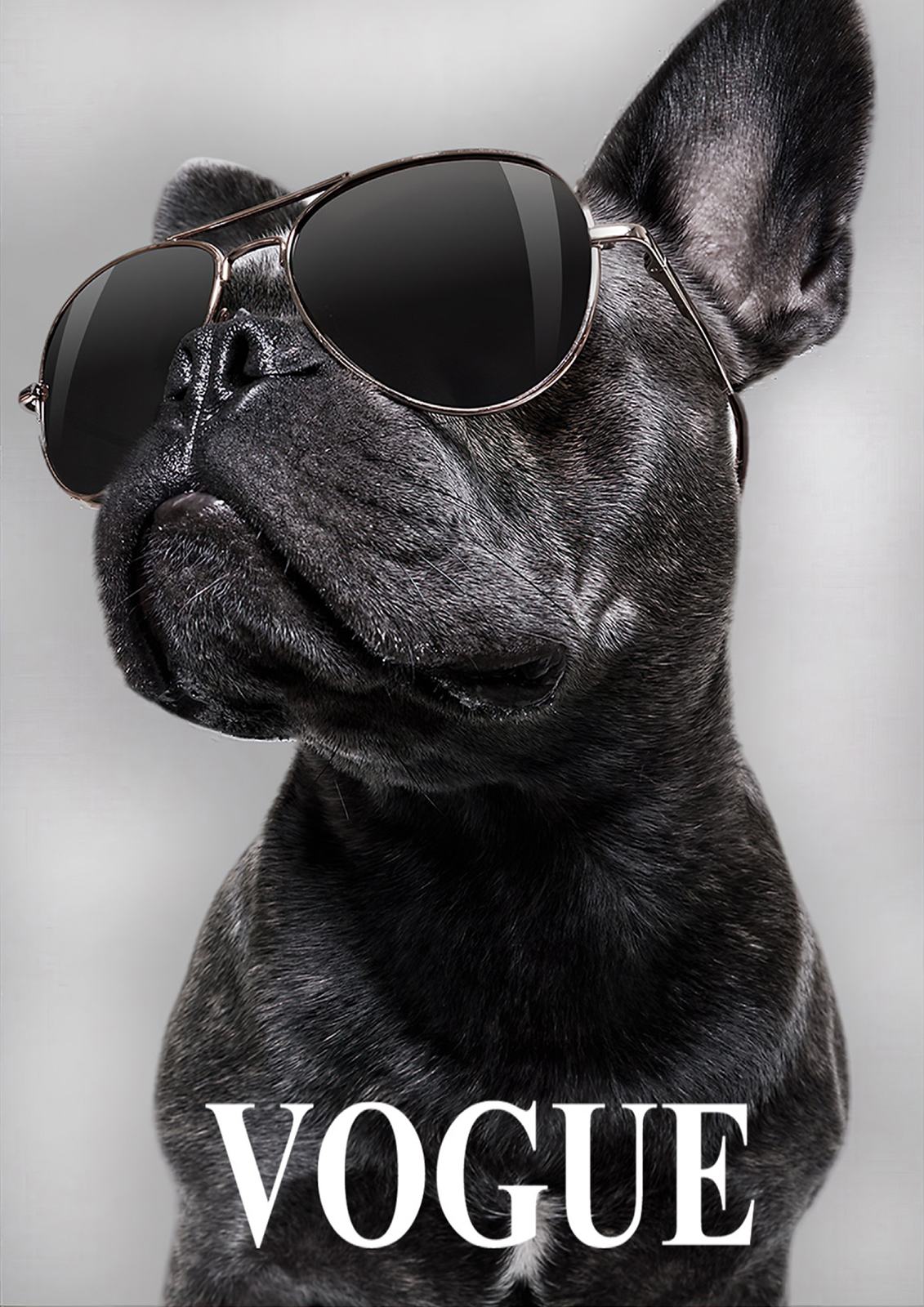 Vogue Hund Wandposter