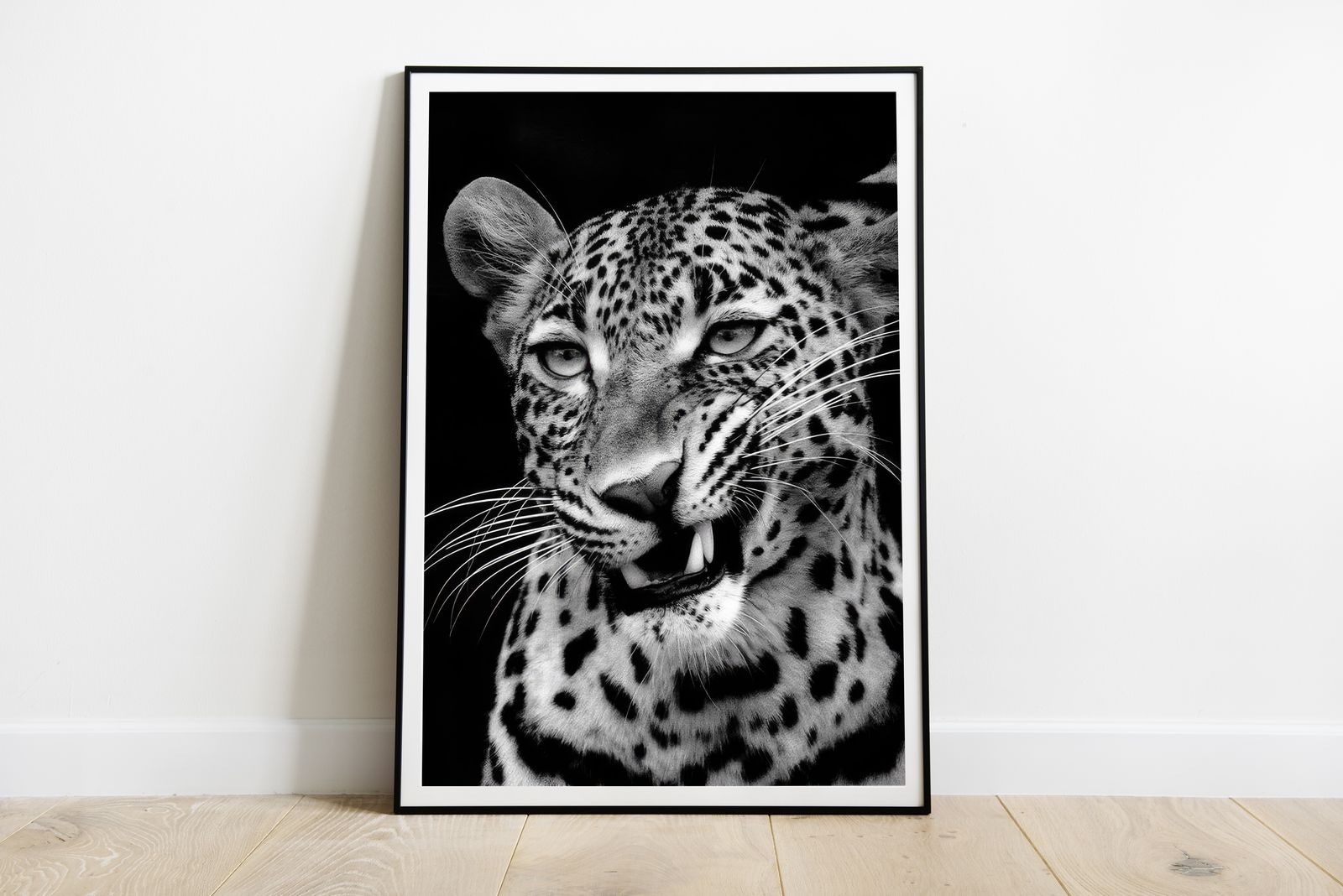 Poster - Schwarzer und Weißer Leopard