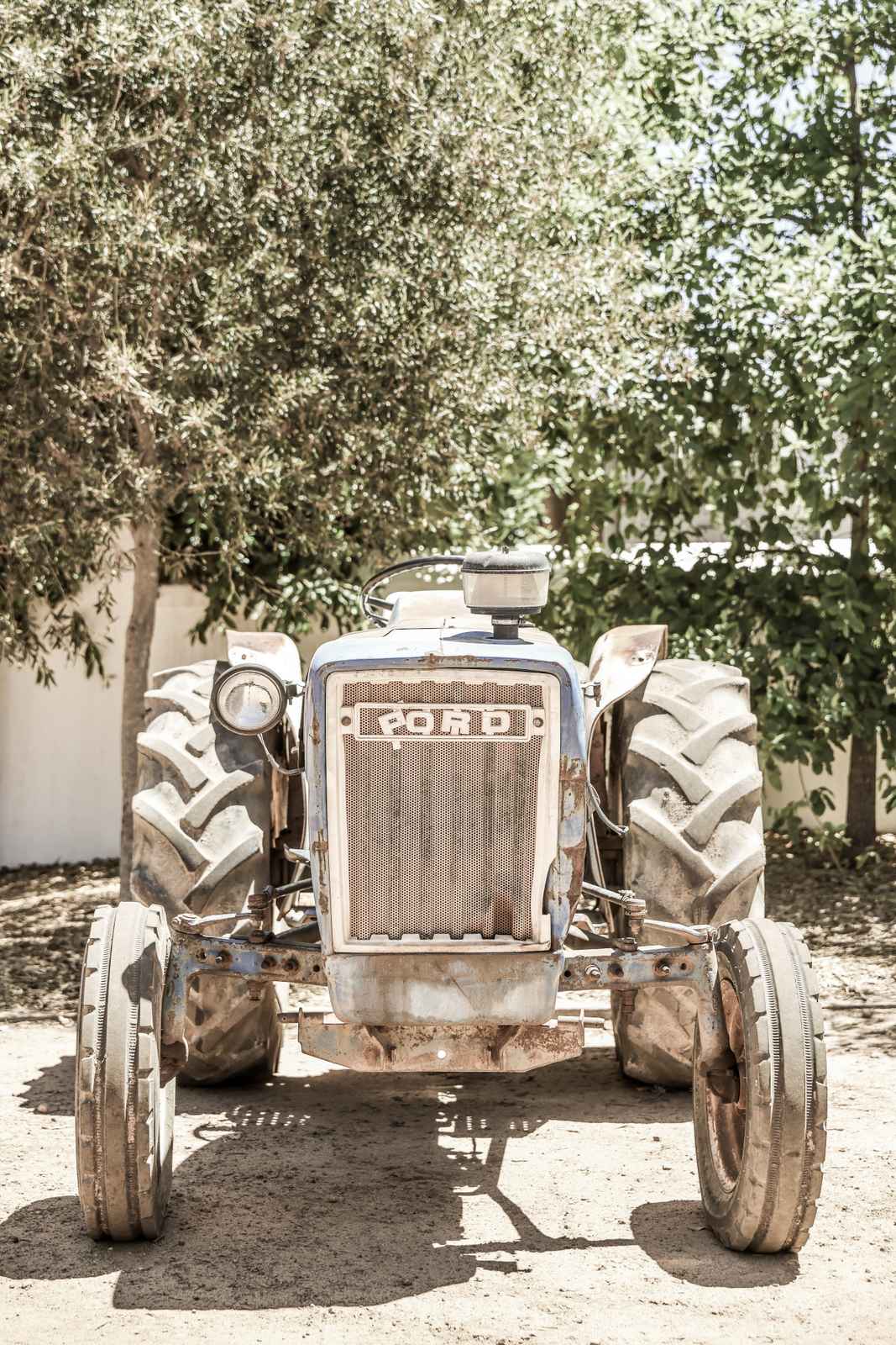 Poster - Vintage Traktor