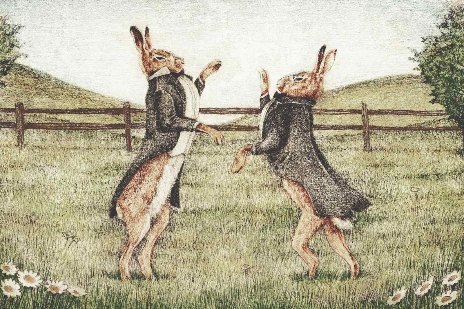 Artikelbild